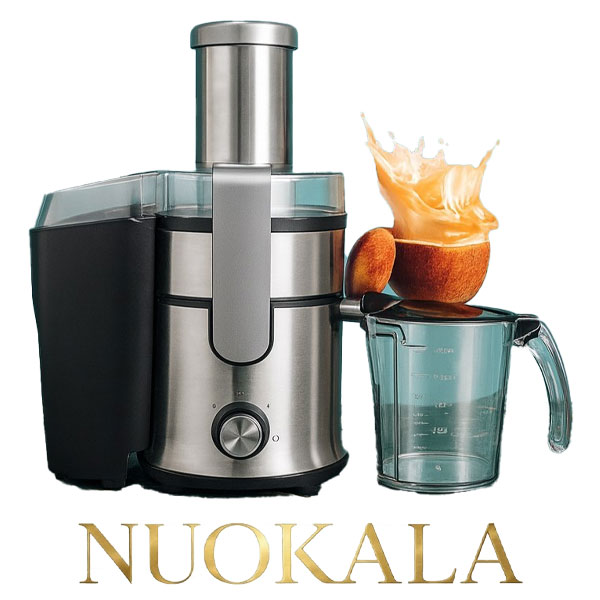 آبمیوه گیر حرفه ای برگن مدل BJ-2024