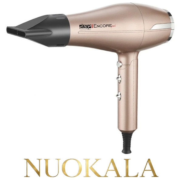DSP Hair Dryer 37092