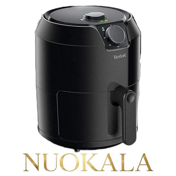 Tefal 4.2 liter oil-free fryer
